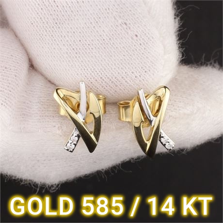 Ohrschmuck mit Brillant 0.024 ct.  / GG585 / Ex-VK: 359,- € / 2604-JWG
