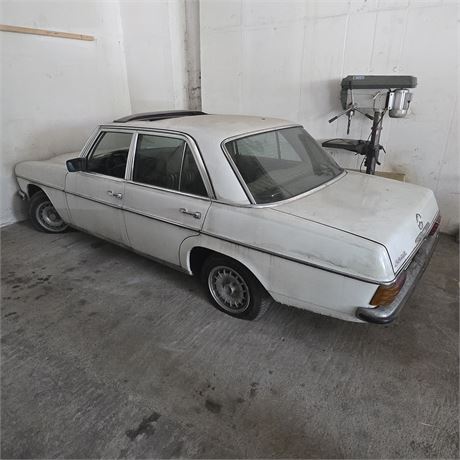 Mercedes 220D Strich 8 - ID: 004-FVK