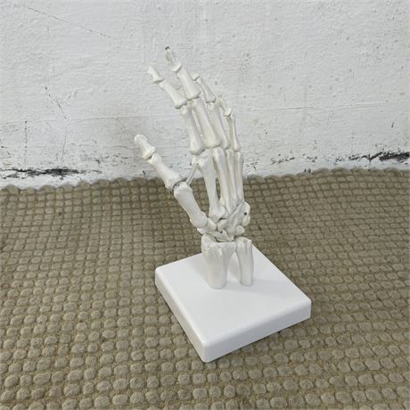 Skelett Hand - ID: 29-KP