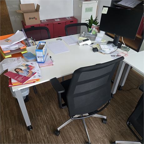 Schreibtisch inkl. Bürostuhl & Rollcontainer - ID: 219-VFT