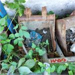 Angebotsbild