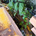 Angebotsbild