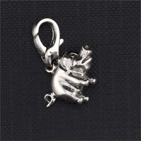 Charms, Silber 925 - ID: 3110-JWG